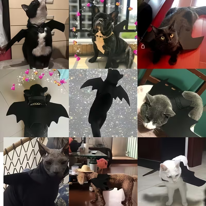 Adjustable Black Bat Wings for Cats and Small Dogs