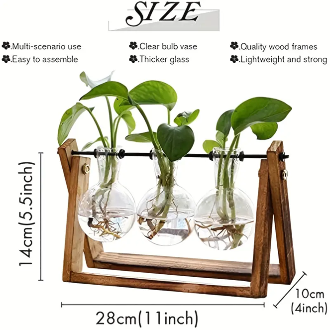 Plant Terrarium With Wooden Stand